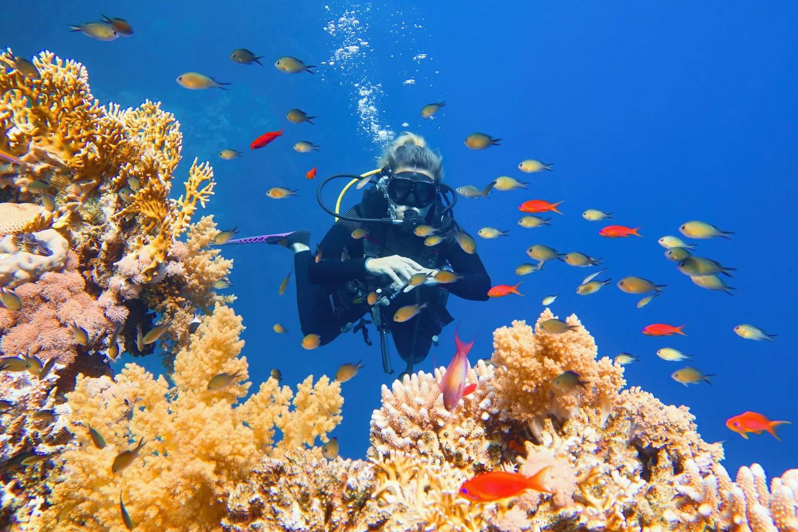 Plongée Hurghada Guide Ultime des Spots Fascinants