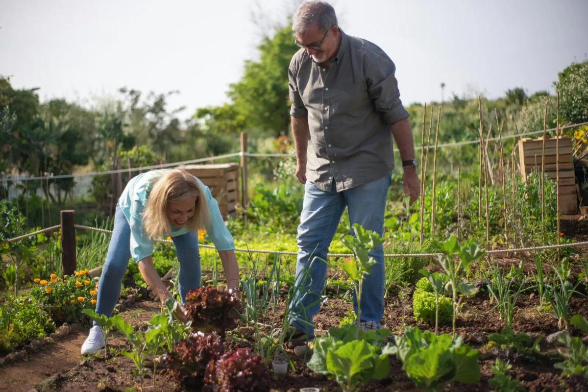 Acheter ses Produits de Jardinage en Ligne : Avantages et Conseils Pratiques
